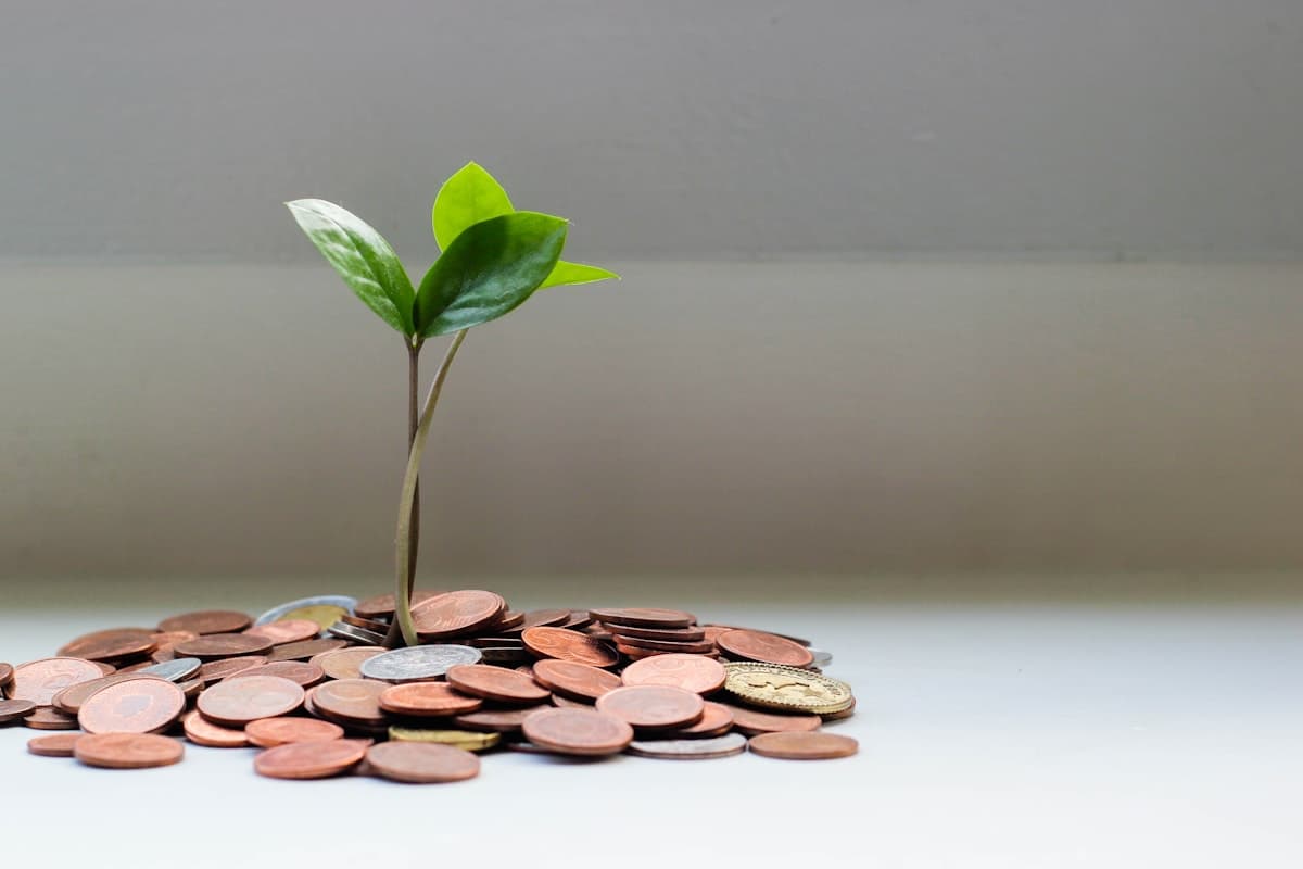 Fees, Custody and Reporting: Questions for an Investment Provider
